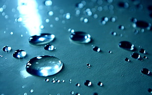 person taking photo of water droplets in macro shot